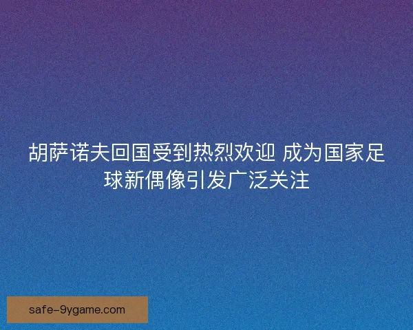 胡萨诺夫回国受到热烈欢迎 成为国家足球新偶像引发广泛关注