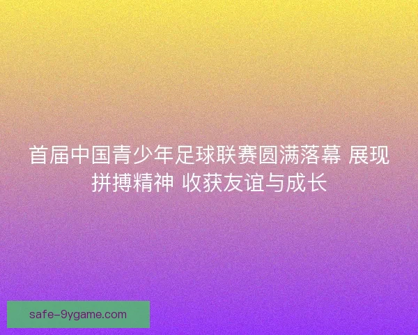 首届中国青少年足球联赛圆满落幕 展现拼搏精神 收获友谊与成长